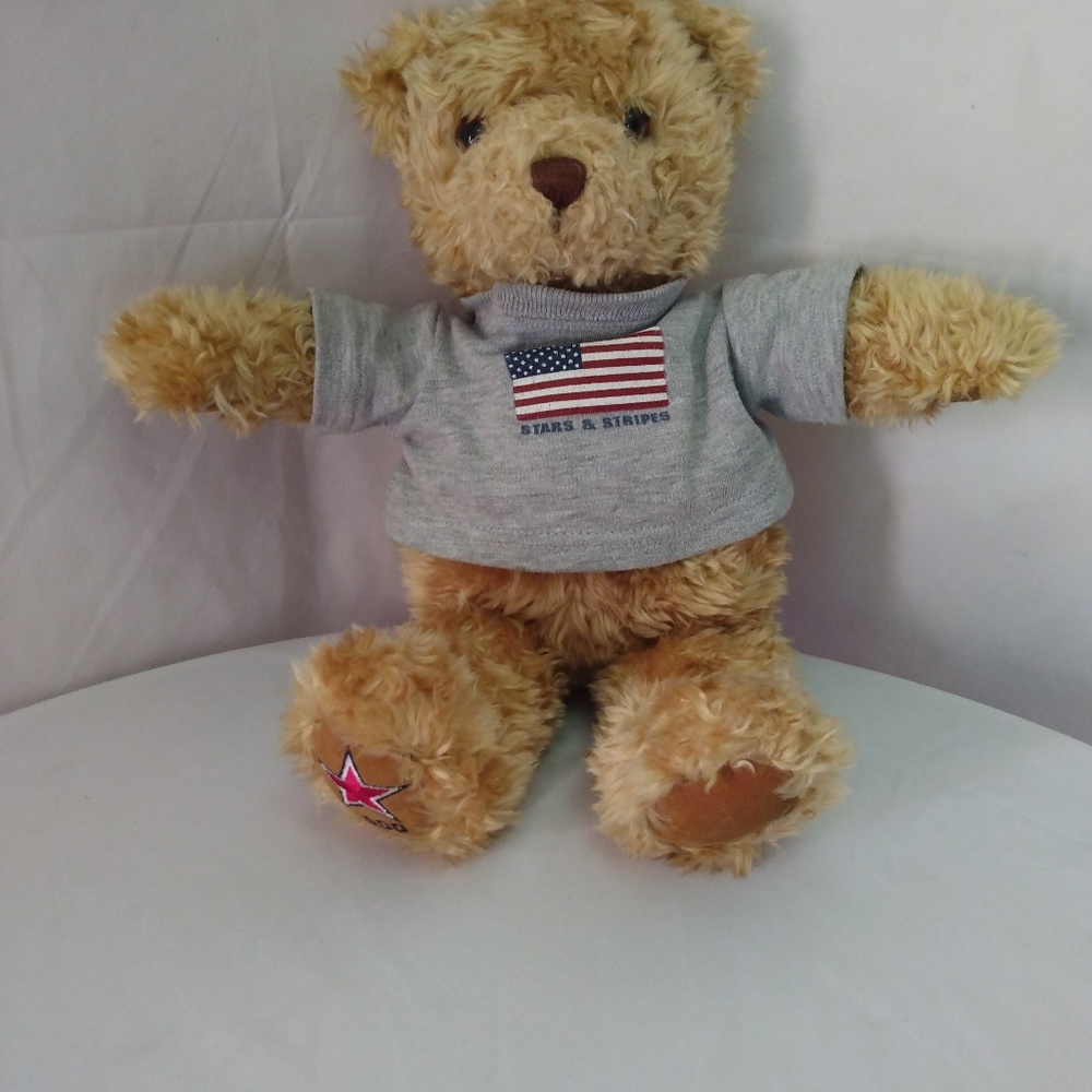 Stars & Stripes Brown Teddy Bear